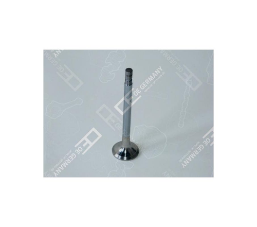 Egzoz Valfi