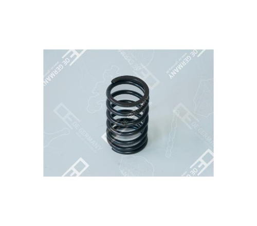 Supap Yayı İç V Motor (66,00 Mm)
