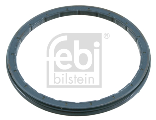 Poyra Keçesi BPW 135x156,7x8