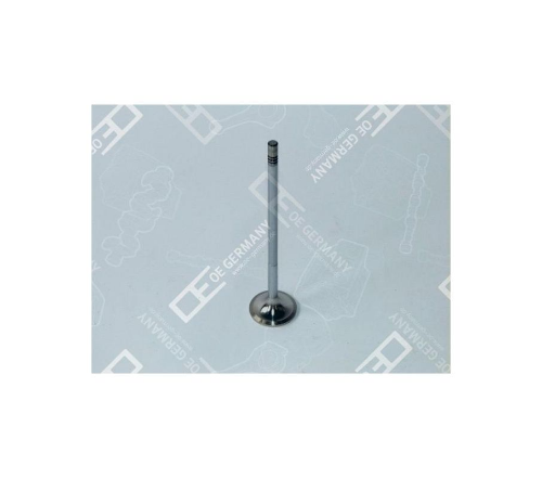 Emme Supap Volvo D13