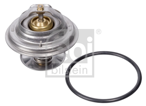 Termostat87? W201/W210/W123