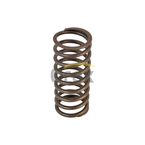 Supap Yayı İç V Motor (70,00 Mm)