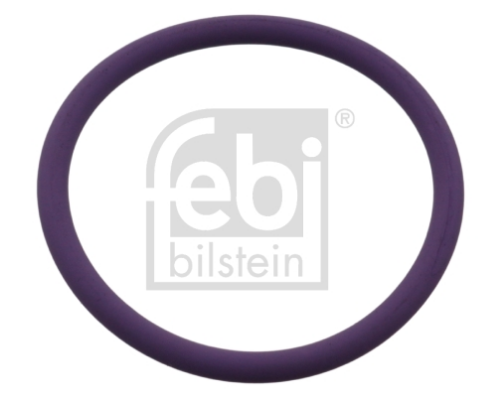 O-Ring