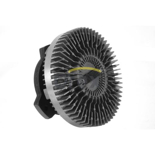 Fan Göbeği 3031