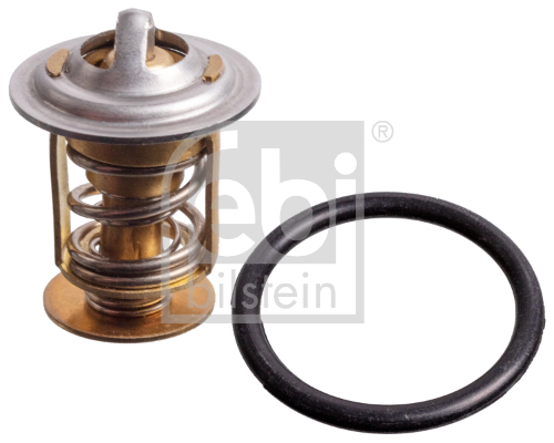 Termostat Retarder  D3876 Y.M