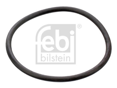 O-ring