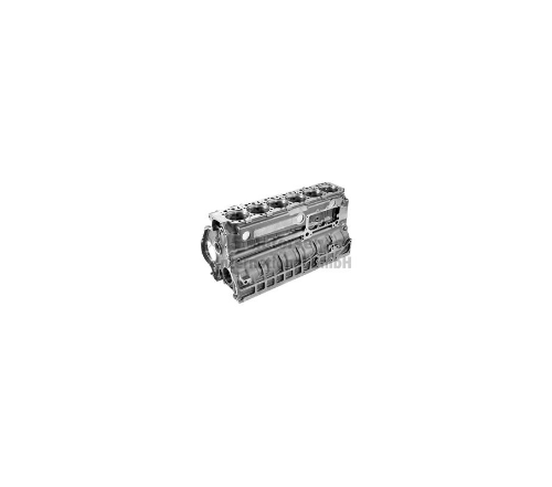 Motor Bloğu D2866