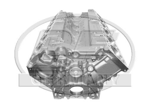Motor Bloğu V12