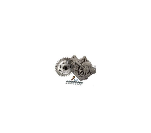 Yağ Pompası Kit D2066-D2676