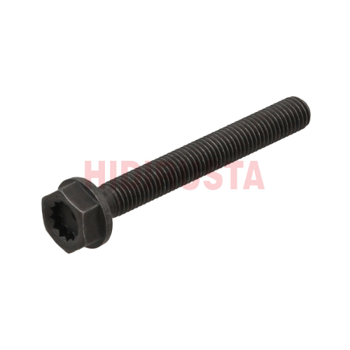 Ana Yatak Kep Civatası 10X80 Crafter/Man
