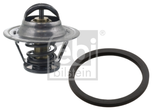 Termostat (Lastikli) Iveco Fiat Peugeot Citroen