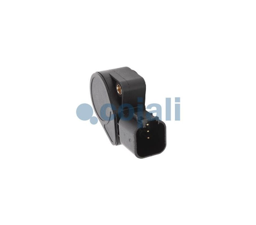 Gaz Pedal Sensorü Renault Euro 3-5
