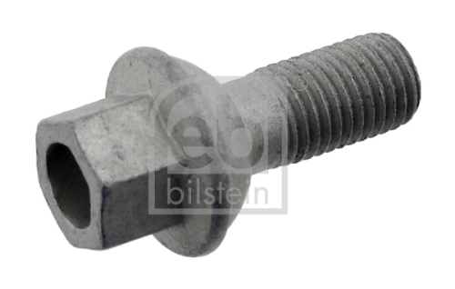 Bijon