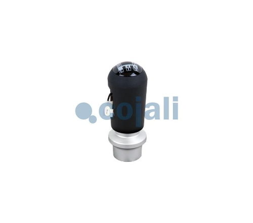 Vites Topuzu Scania 4 Seri