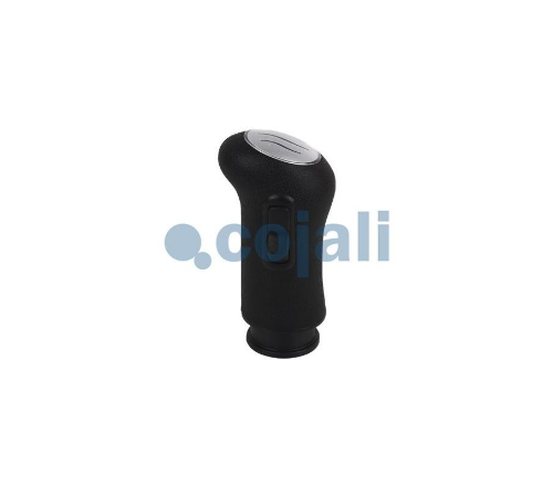 Vites Topuzu Renault DXI