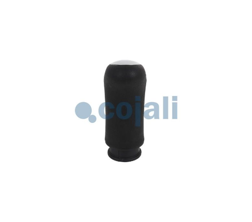 Vites Topuzu Renault Premium