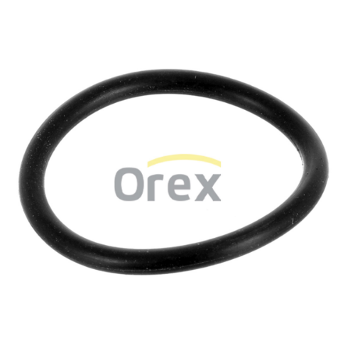 Enjektör Holder Oringi