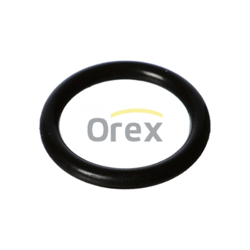 Oring 19X3