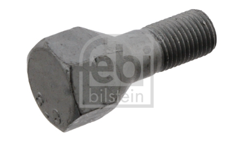 Bijon