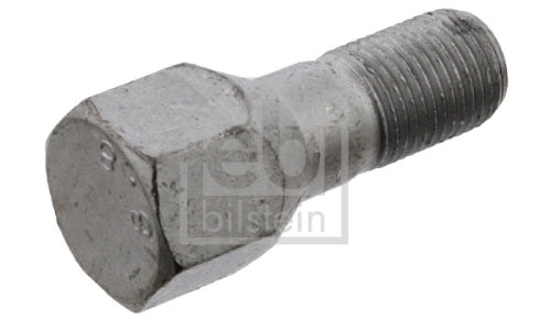 Bijon