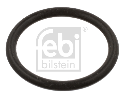 O-ring