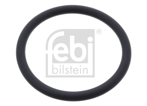 Devirdaim Oring Daf Mx11/13 Euro 6 (51X61x5mm)