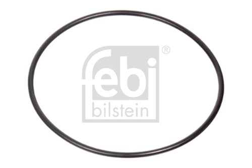 Eksantrik Oringi İveco Stralis 127X3,50Mm