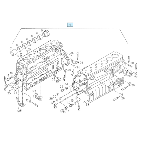 Motor Blogu D2866