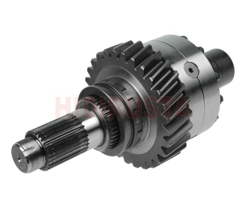 Beyin Komple 3031