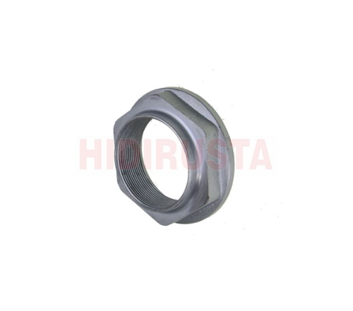 Mahruti Uç Somunu Renault P1191-1391-1395