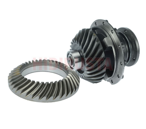 Ayna Mahruti Renault 37x24 P1191-1391-1395