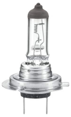 Ampul H7 24V 70W (Standart)