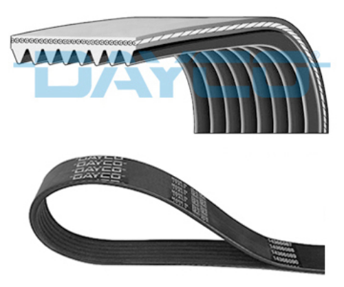 Kayış İveco Eurocargo Euro 6