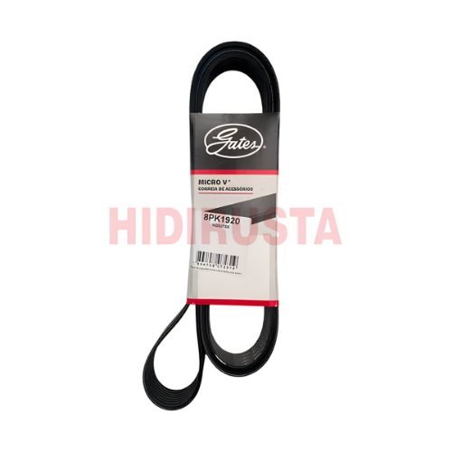 Motor Kayışı Man 8Pk1920 D2066-D2676 (Klimalı)