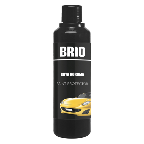 Boya Koruma 250 Ml