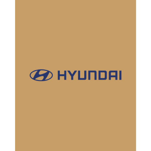 Paspas 500 Adet/Rulo Kraft Hyundai Baskili