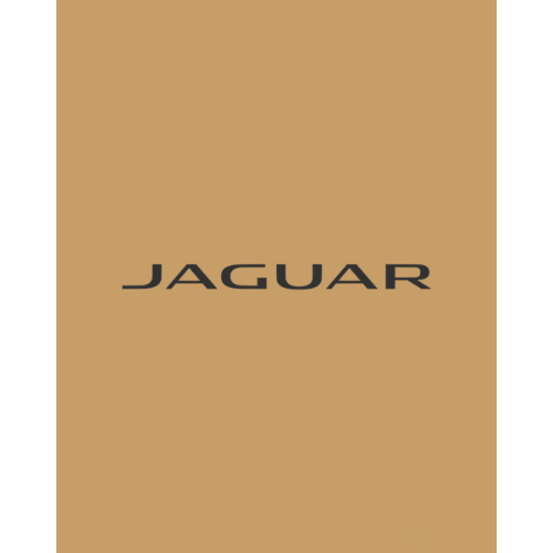 Paspas 500 Adet/Rulo Kraft Jaguar Baskili