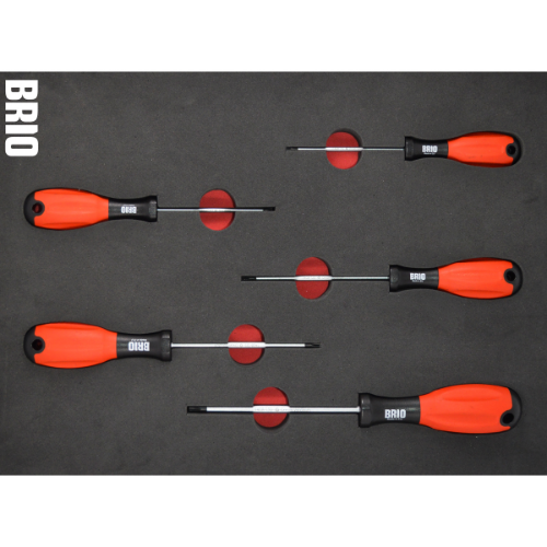 Tornavida Seti Torx 5 Parça T10-T30 Sünger Yataklı