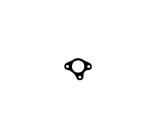 Egzoz Manifold Contasi