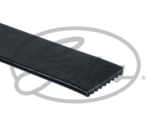 Kayış 9Pk1936 Travego, Setra Y.M.