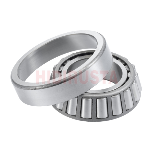 Rulman (32209)