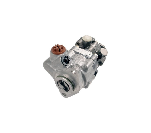 Direksiyon Pompası Actros E.M. (Zf Tipi)