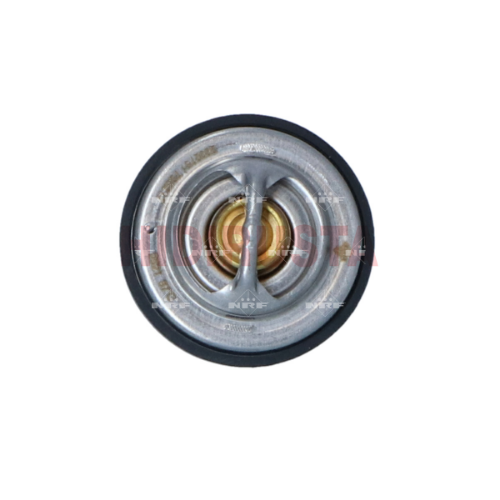 Termostat 87 C Euro 6 Y.M D2066-D2676