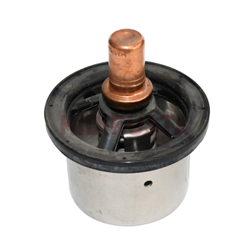 Termostat Daf 75 °C