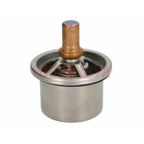 Termostat Daf 87 °C